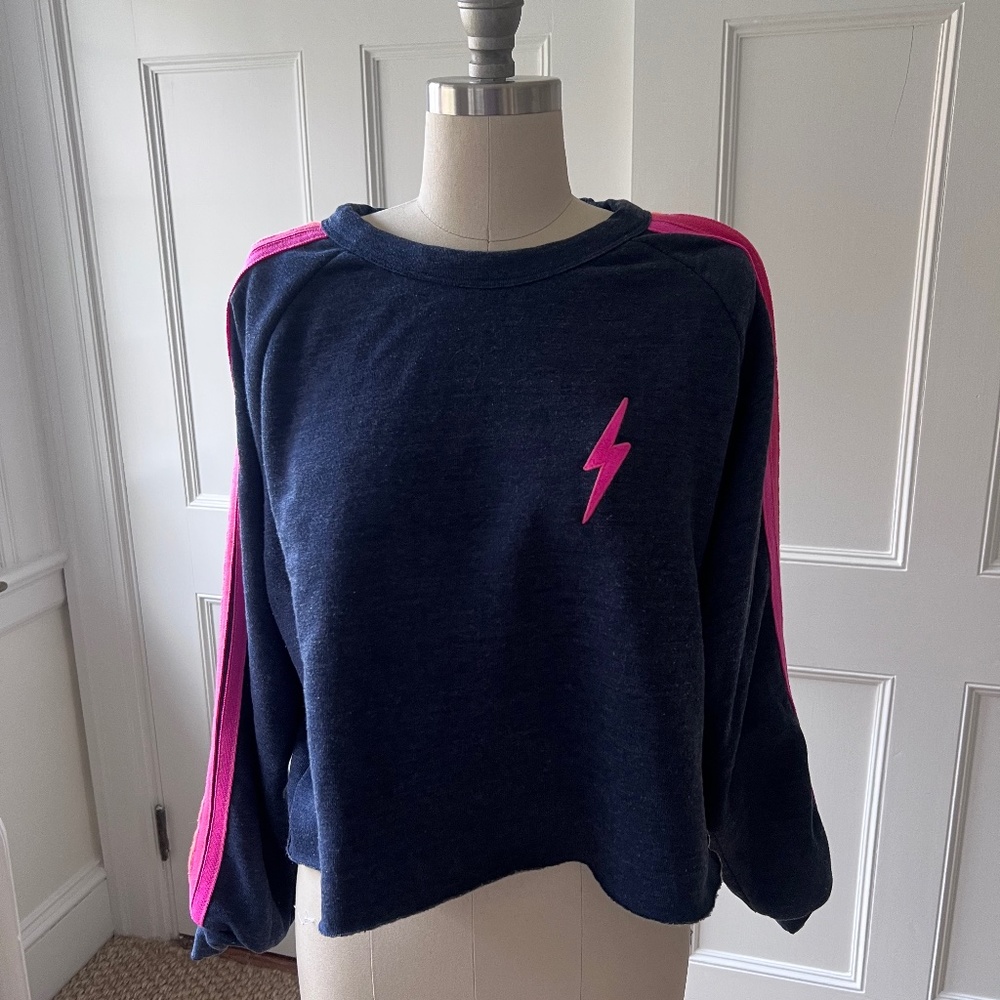 Aviator Nation Striped Cropped Sweatshirt